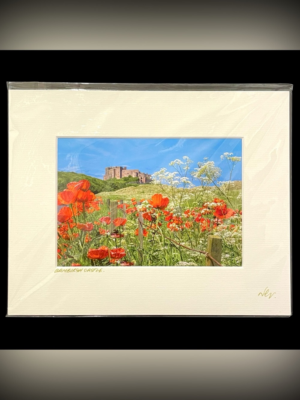 Vintage 1990s Nick Goonan Signed “Bamburgh Castle Poppies" Matted Print